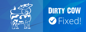 dirty-cow